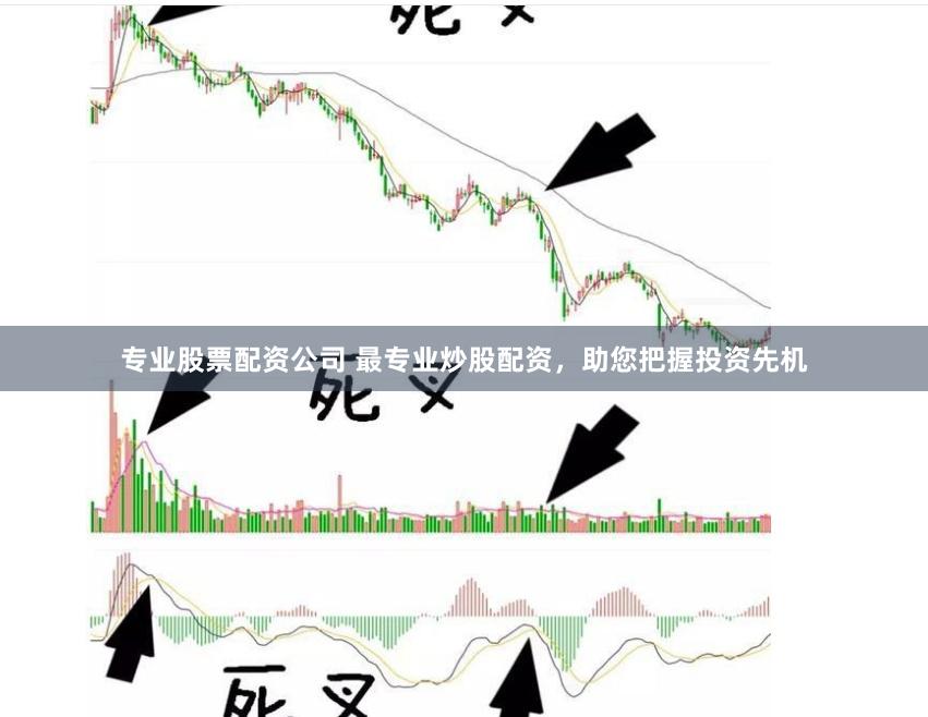 專業股票配資公司 最專業炒股配資，助您把握投資先機